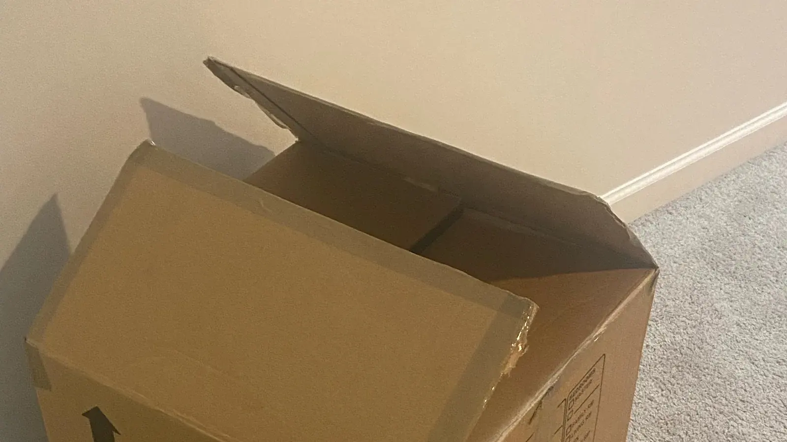 Symbolbild: Ein leerer brauner Pappkarton mit geöffneten Klappen steht auf einem hellen Teppich vor einer Wand.