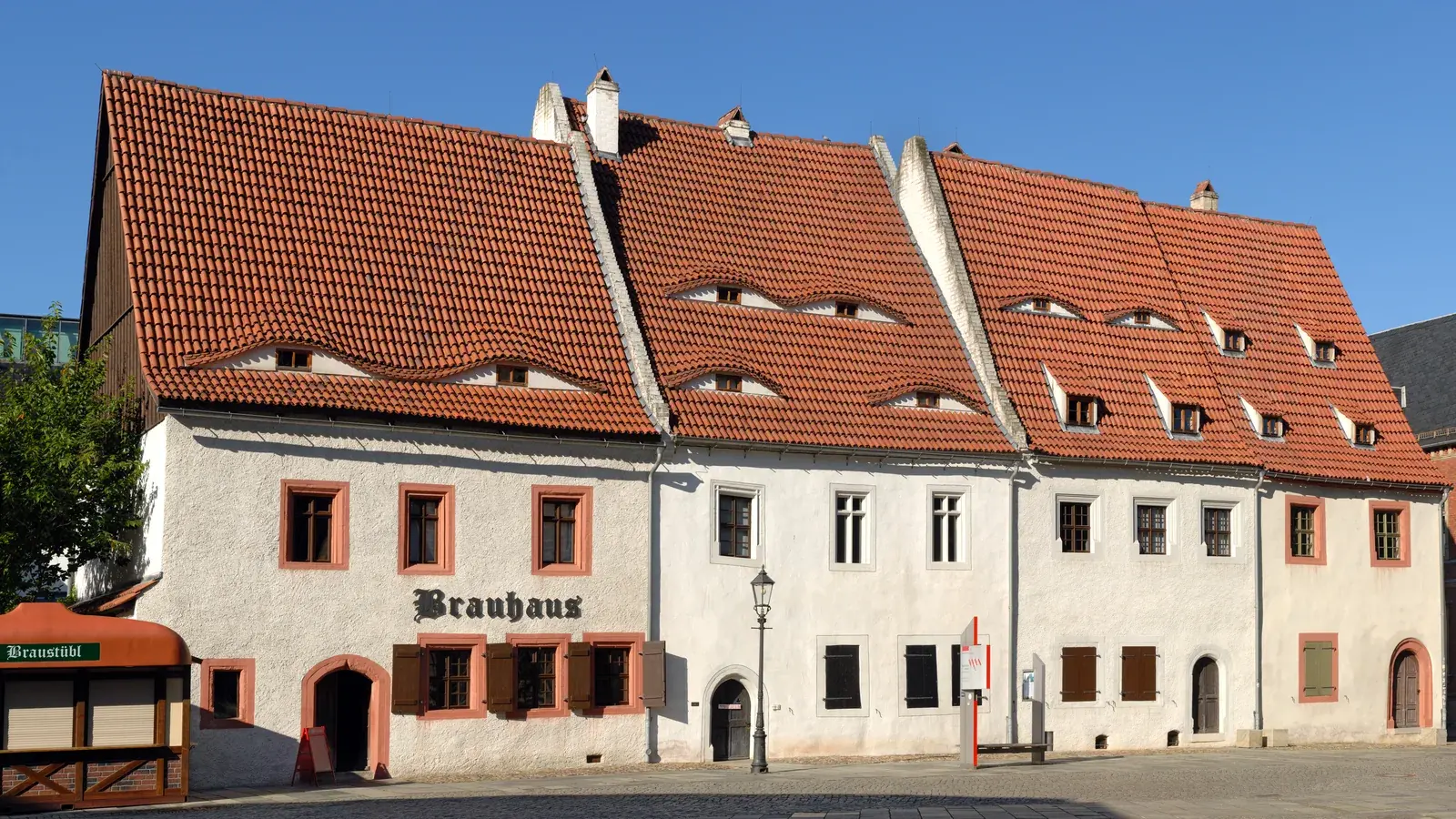 Breite Ansicht der Zwickauer Priesterhäuser mit hellen Fassaden, einer langen Folge steiler roter Ziegeldächer und mehreren weißen Schornsteinen unter blauem Himmel.